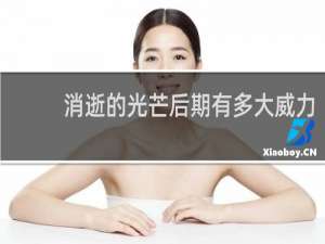 消逝的光芒后期有多大威力