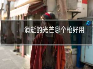 消逝的光芒哪个枪好用