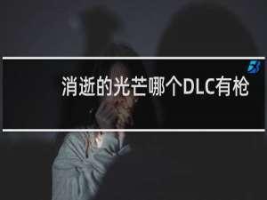 消逝的光芒哪个DLC有枪