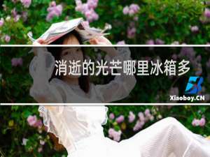 消逝的光芒哪里冰箱多