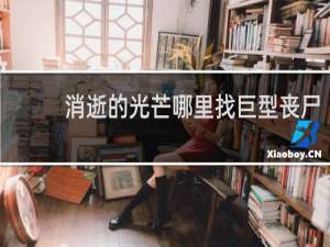 消逝的光芒哪里找巨型丧尸
