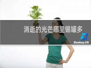 消逝的光芒哪里锡罐多