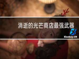 消逝的光芒商店最强武器