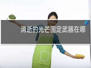 消逝的光芒固定武器在哪