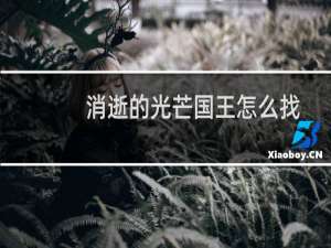消逝的光芒国王怎么找