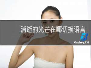 消逝的光芒在哪切换语言