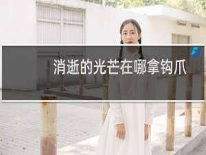 消逝的光芒在哪拿钩爪