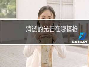 消逝的光芒在哪搞枪