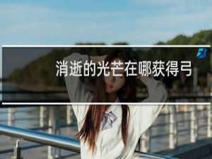 消逝的光芒在哪获得弓