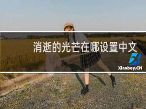 消逝的光芒在哪设置中文