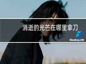 消逝的光芒在哪里拿刀