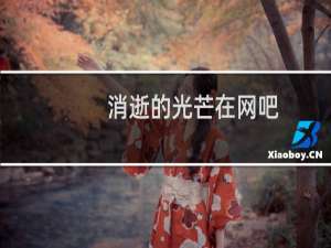 消逝的光芒在网吧