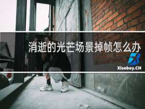 消逝的光芒场景掉帧怎么办