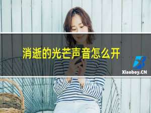 消逝的光芒声音怎么开