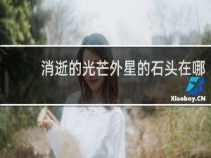 消逝的光芒外星的石头在哪