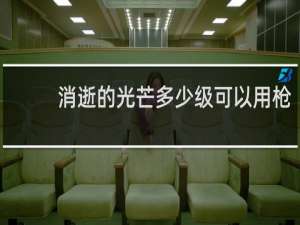 消逝的光芒多少级可以用枪