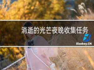 消逝的光芒夜晚收集任务