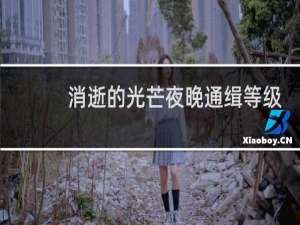 消逝的光芒夜晚通缉等级