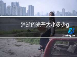 消逝的光芒大小多少g
