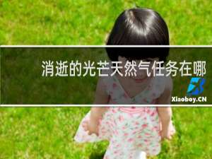 消逝的光芒天然气任务在哪