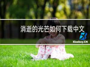 消逝的光芒如何下载中文