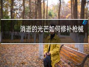 消逝的光芒如何修补枪械