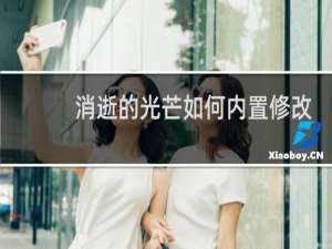消逝的光芒如何内置修改