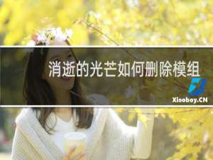 消逝的光芒如何删除模组
