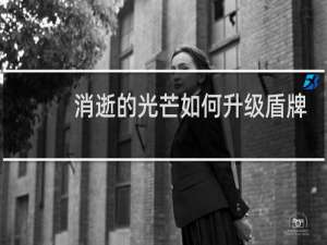 消逝的光芒如何升级盾牌