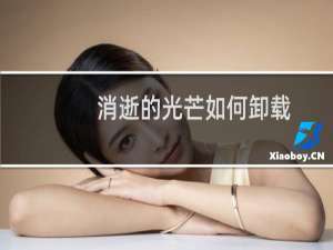 消逝的光芒如何卸载