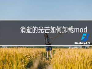 消逝的光芒如何卸载mod