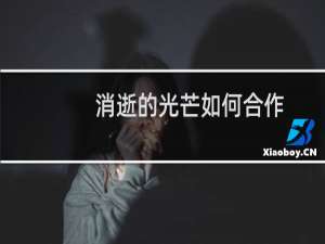 消逝的光芒如何合作