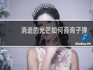 消逝的光芒如何咨询子弹