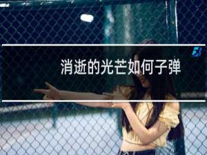 消逝的光芒如何子弹