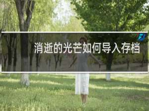 消逝的光芒如何导入存档