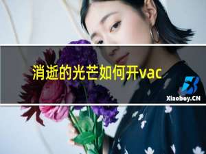 消逝的光芒如何开vac