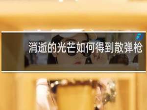 消逝的光芒如何得到散弹枪