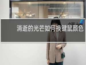 消逝的光芒如何换键鼠颜色
