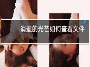 消逝的光芒如何查看文件