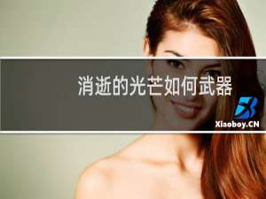 消逝的光芒如何武器