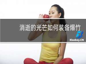 消逝的光芒如何装备爆竹