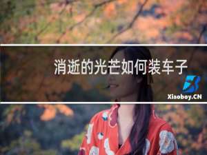 消逝的光芒如何装车子