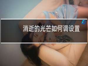 消逝的光芒如何调设置