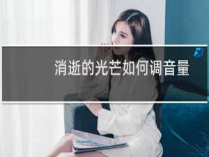 消逝的光芒如何调音量