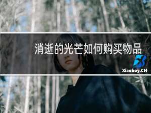 消逝的光芒如何购买物品