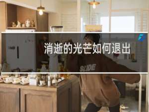 消逝的光芒如何退出