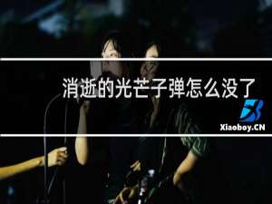 消逝的光芒子弹怎么没了