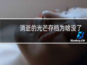 消逝的光芒存档为啥没了