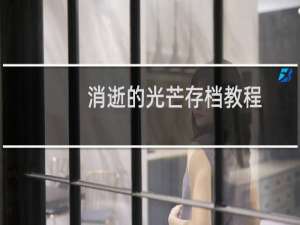 消逝的光芒存档教程