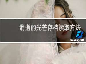 消逝的光芒存档读取方法